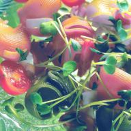 Diabeteszentrum L1 - Schwerpunktpraxis für Ernährungsmedizin BDEM